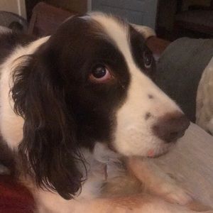 Meet your Posher, Deborah